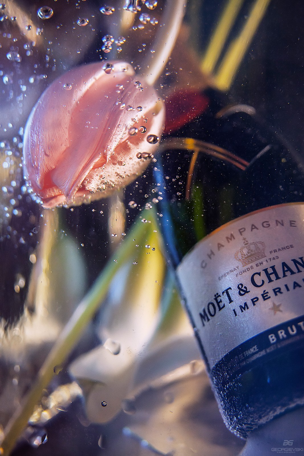 ADVERTISING. Denisgeorgievski