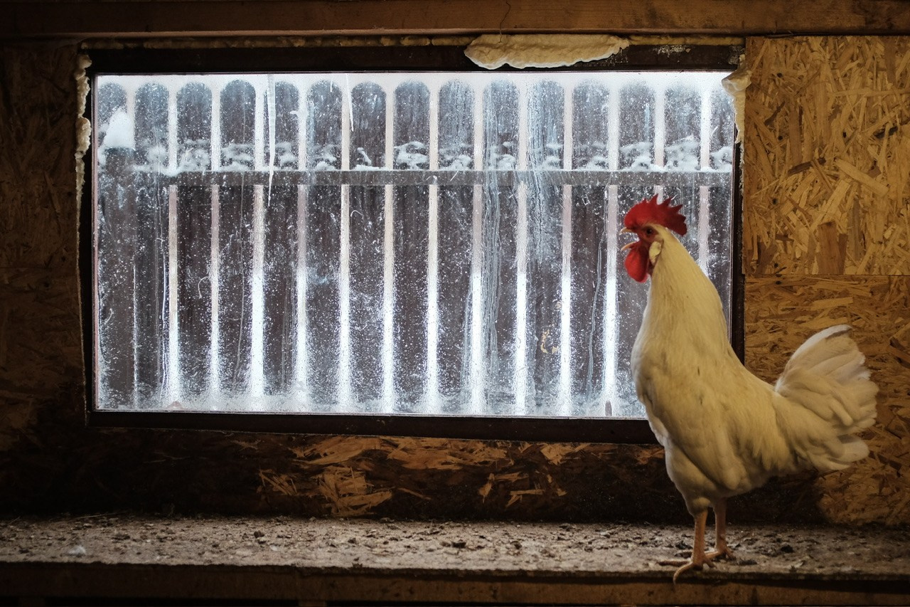 Последнее утро. Фотограф Евгений Андреев