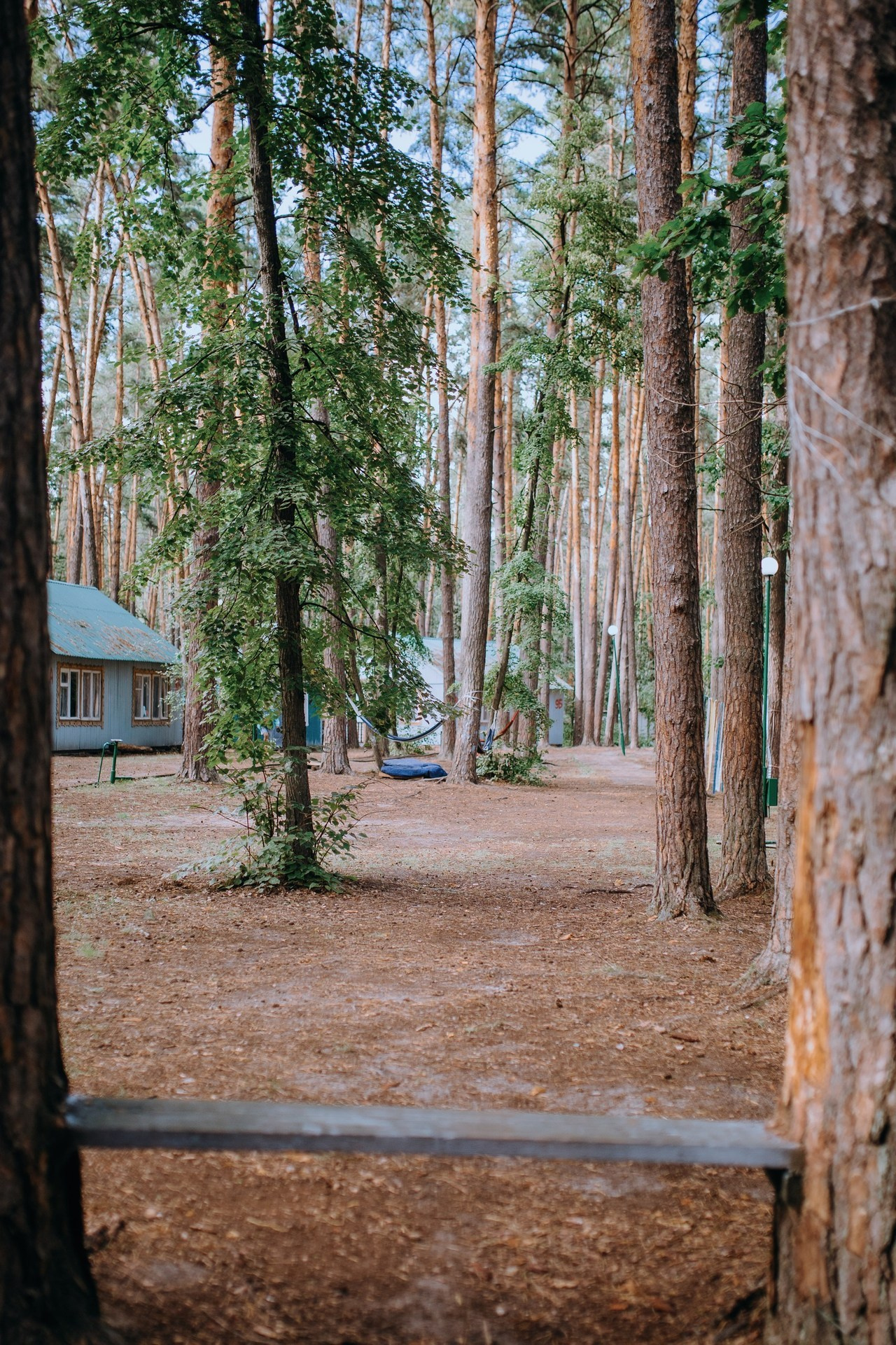 Отзывы. Портретный и свадебный фотограф в Воронеже Елена Михайлова