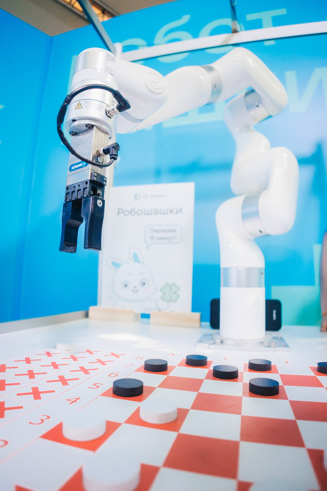 VK FEST 2024. Репортажный фотограф в Санкт-Петербурге Александр Паклин