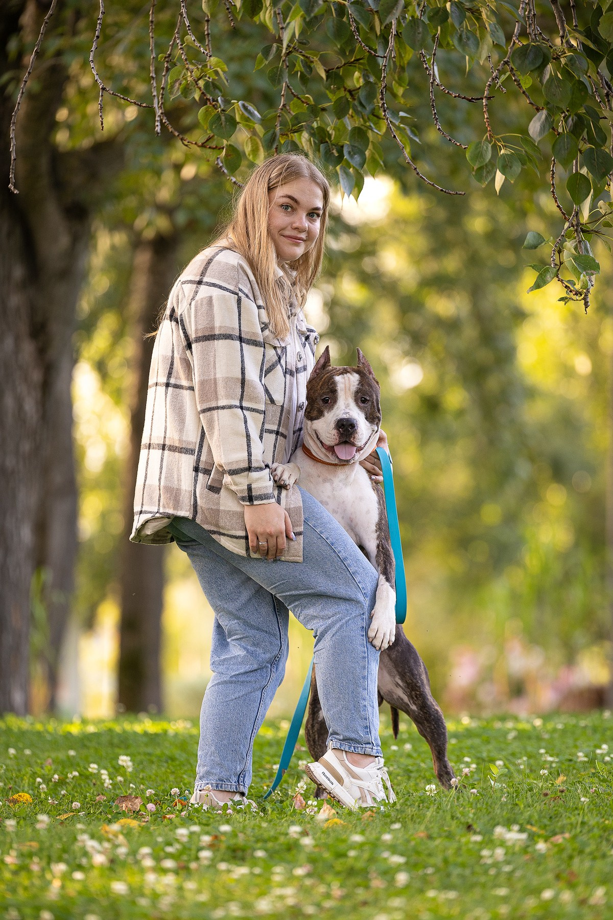 Амстафф Честер и его семья. Фотограф-анималист Natalia Deingel | Фотосъемка собак в Москве