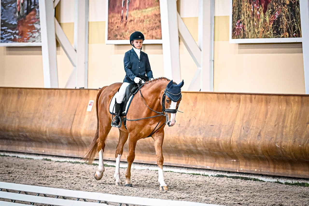 Отзывы. ТУРНИРНАЯ КОННАЯ ФОТОГРАФИЯ, Руднева Ольга и Евгений Адеев