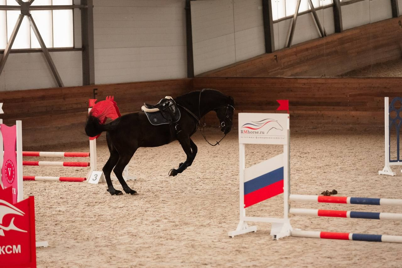 ВЕСЕННИЙ КУБОК МКК «ВОЛЬТ» ПО КОНКУРУ. Конный фотограф Куракина Дарья • Фотосессии с лошадьми