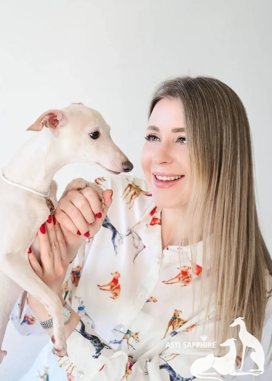 Asti Sapphire Zeus. Профессиональный питомник левреток РКФ/FCI ASTI SAPPHIRE 💎 Сочи|Санкт-Петербург