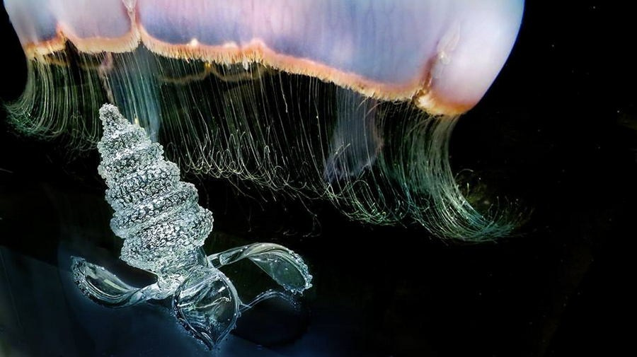 Леньшин Юрий Юрьевич. Галерея участников Российской Премии Искусств