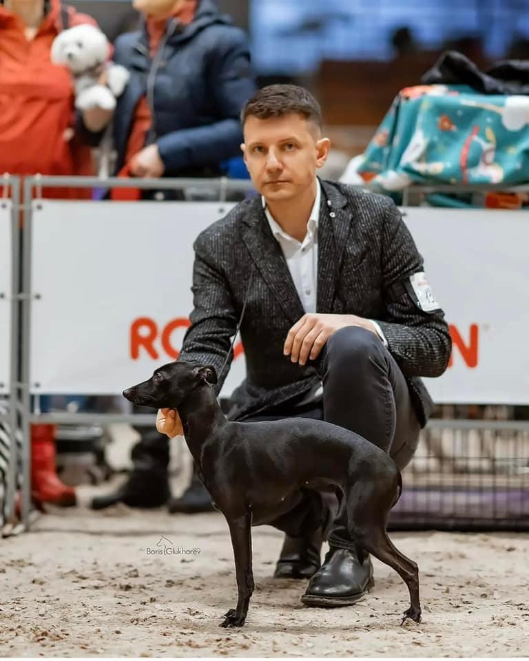 Профессиональный питомник левреток РКФ/FCI ASTI SAPPHIRE 💎 Сочи|Санкт-Петербург