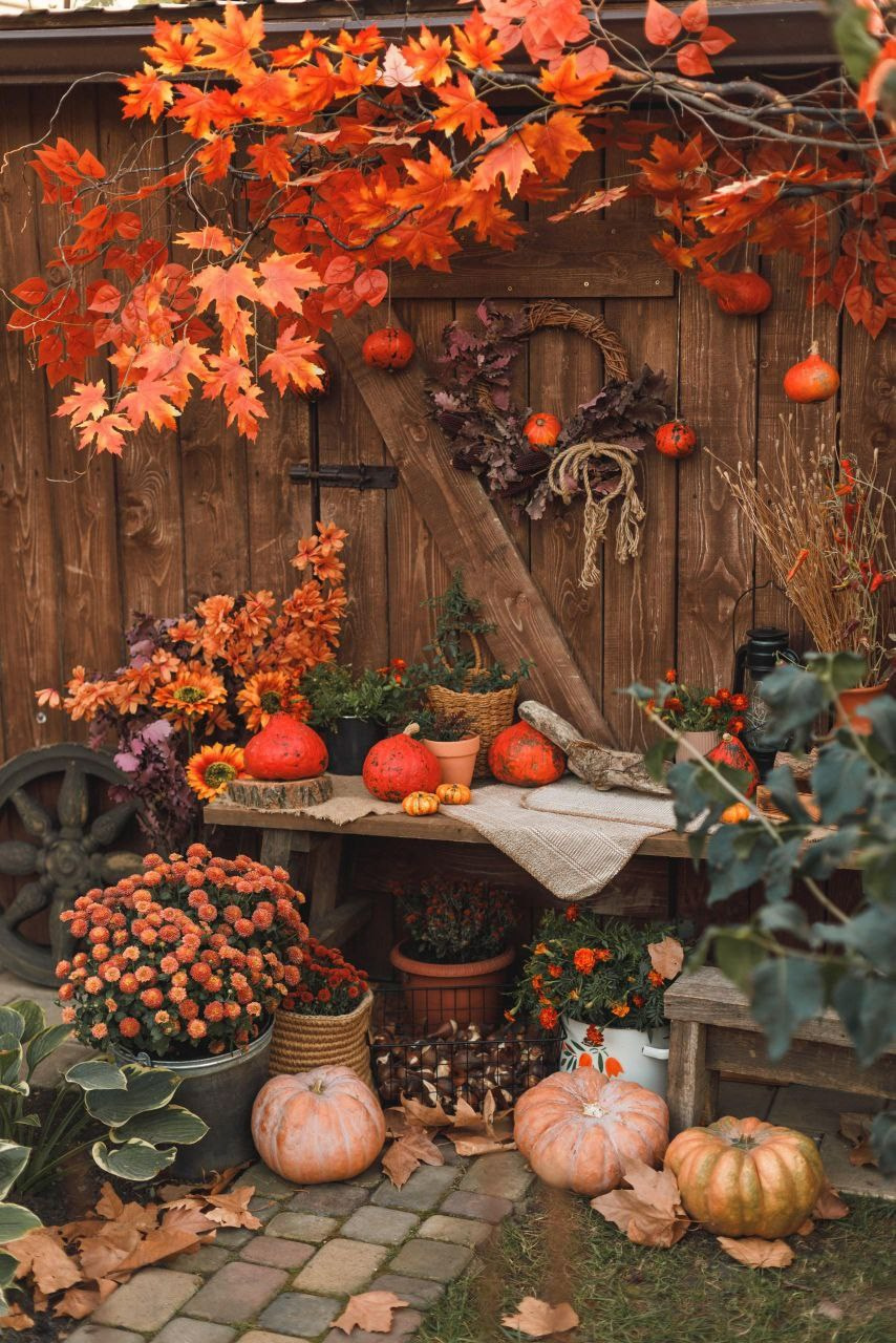 Фотостудия в саду. Свадебный семейный и детский фотограф в Краснодаре Карина Федоровская