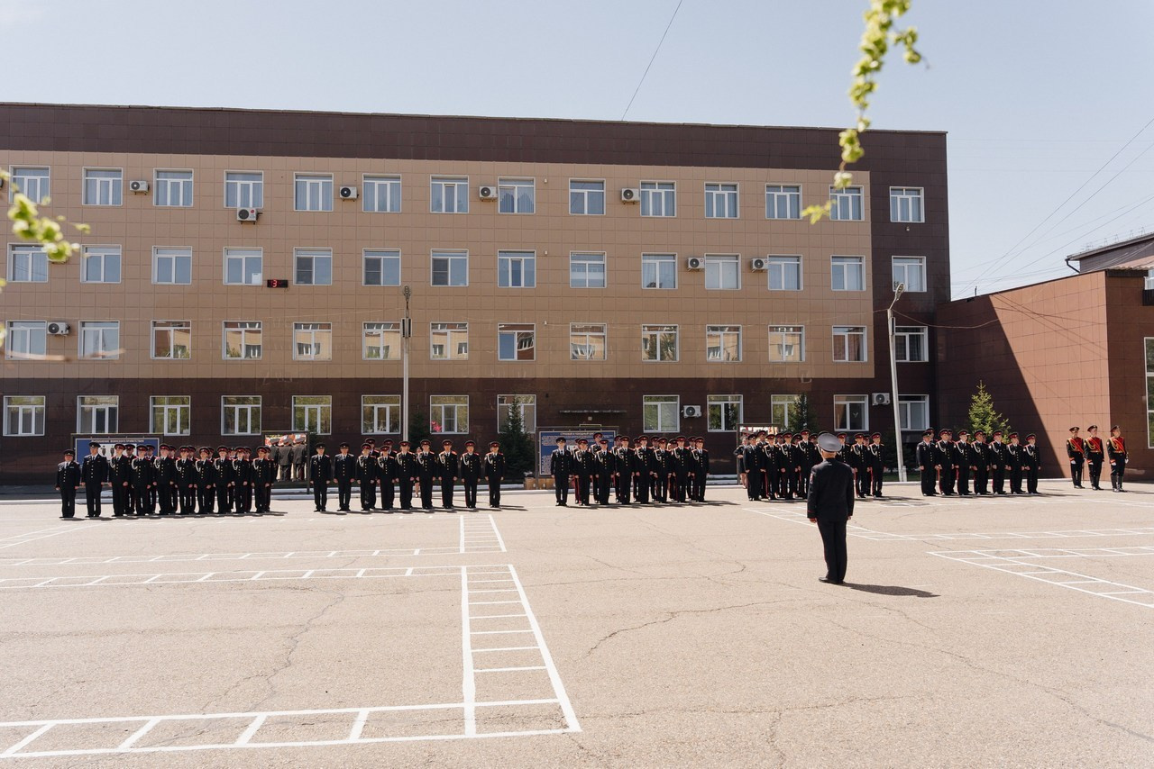 Отзывы