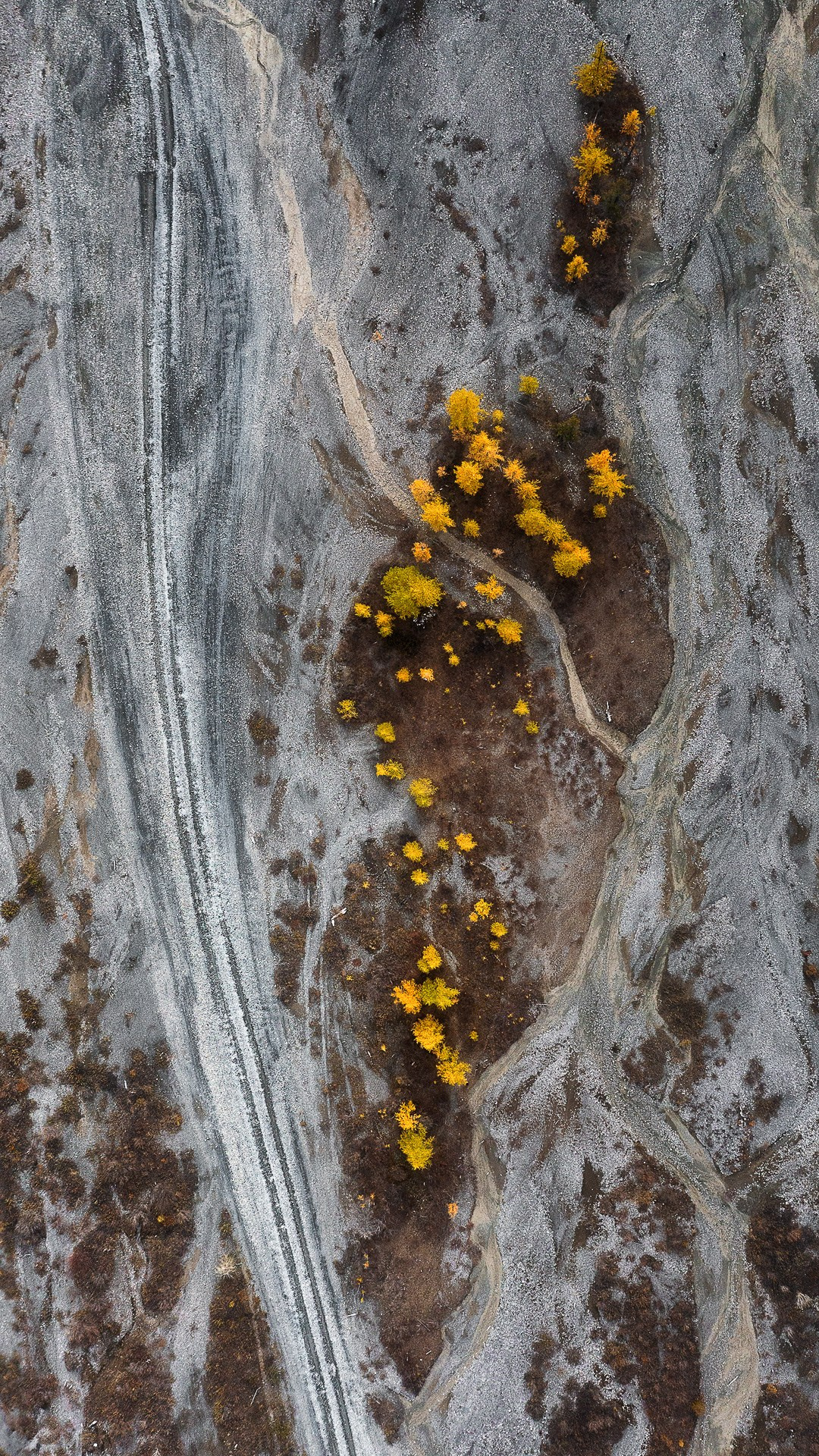 АЛТАЙ. Фототуры и обучение пейзажной фотографии
