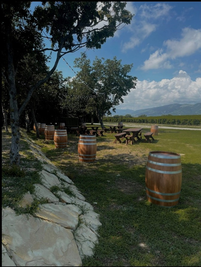 Château de Talu. Свадебный организатор в Ростове-на-Дону: организация свадьбы под ключ | свадебное агентство До Мурашек