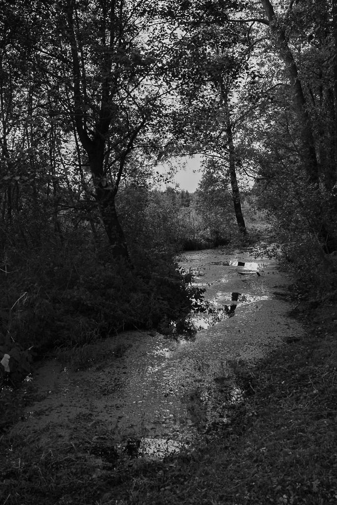 Sedimentation. Пылина Ирина — современная фотография