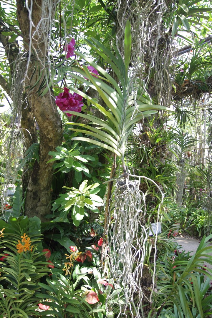 Тайланд 2014 г. Улица, люди, жизнь…