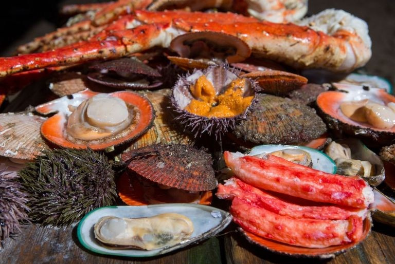 Мурманская Северное. Туры по России и миру