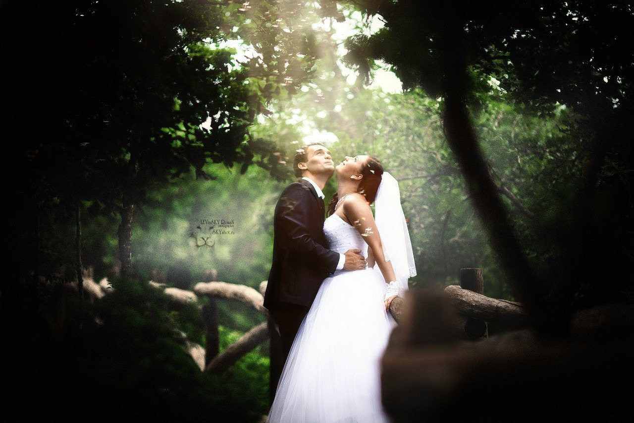 WeddinG. Свадебный фотограф