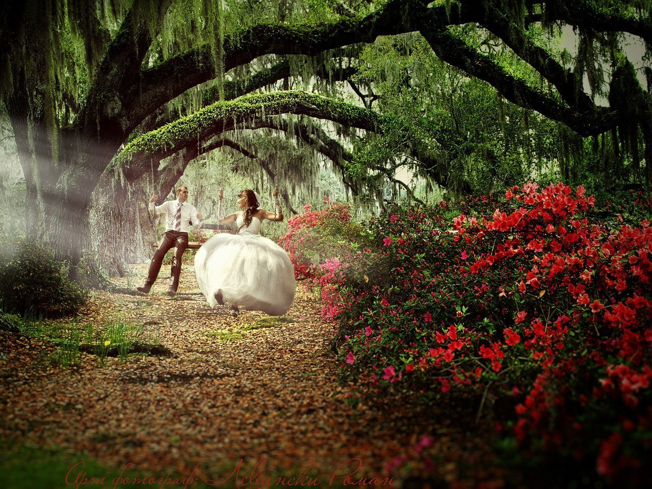 WeddinG. Свадебный фотограф