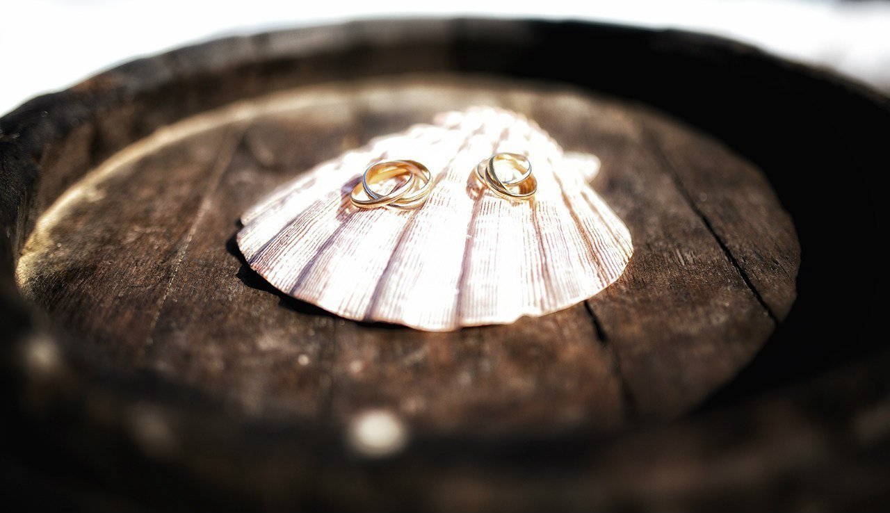 WeddinG. Свадебный фотограф