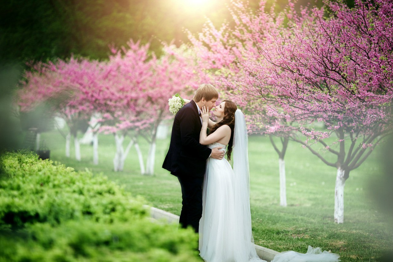 WeddinG. Свадебный фотограф