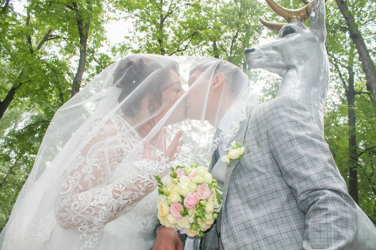 Свадьбы. Главная