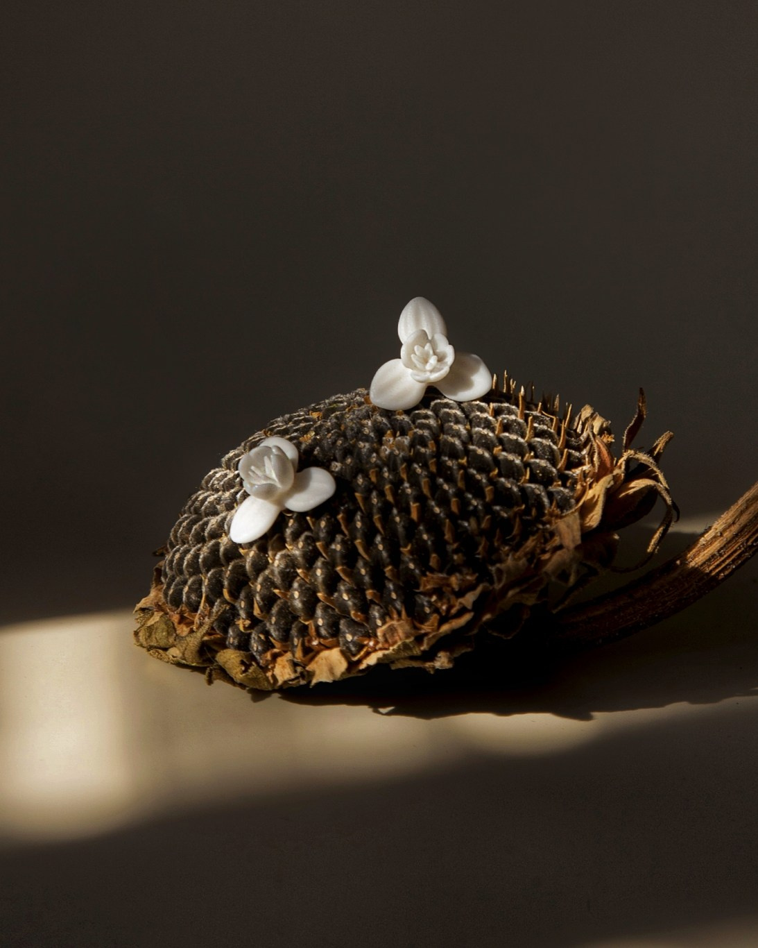 Ювелирные украшения. Настасья Проценко. Фотограф