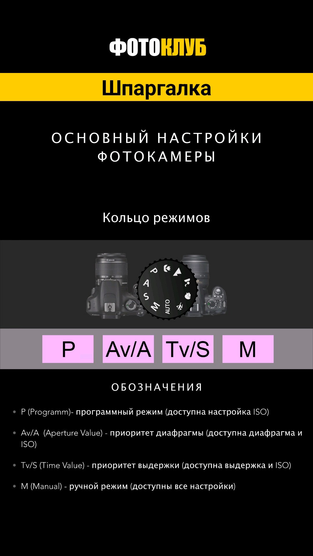 Мобильное приложение. Фото Владимир