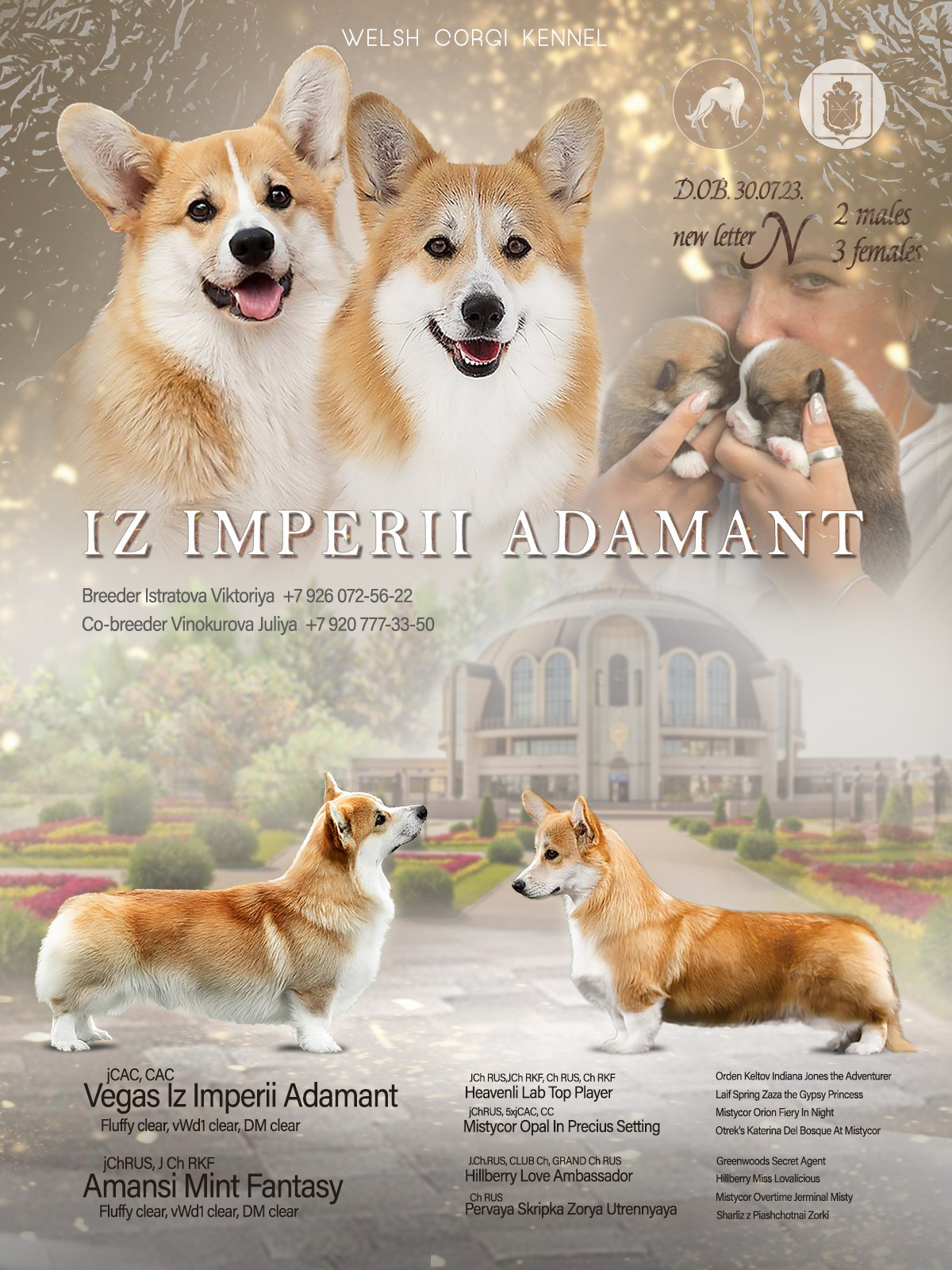 Презентации. Фотограф — анималист в Туле Юлия Лето