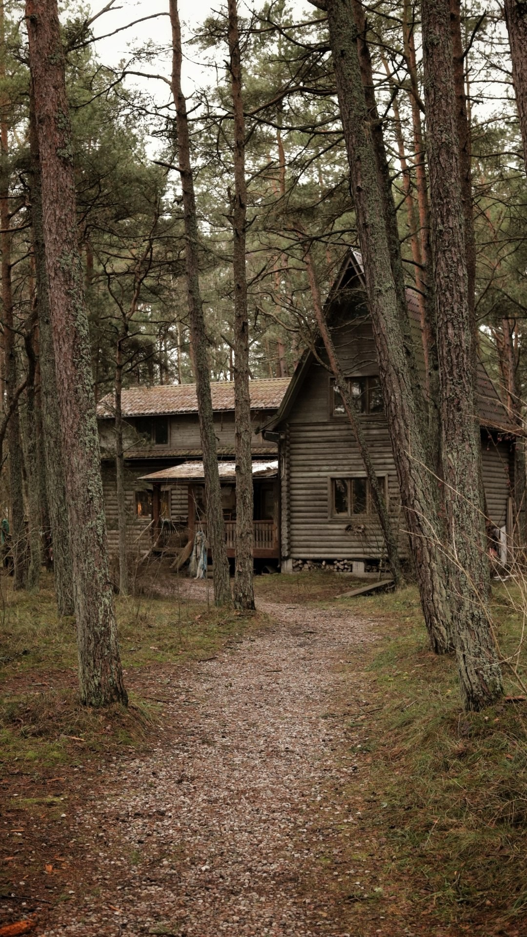 Природа. Фотограф Москва и МО: бизнес и женские портреты, контент для соцсетей