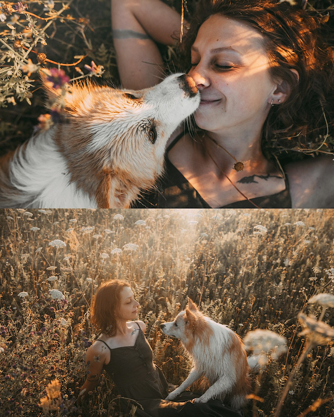 Рина и Марси. Фотограф анималист в Москве и Санкт-Петербурге Свиридова Анна