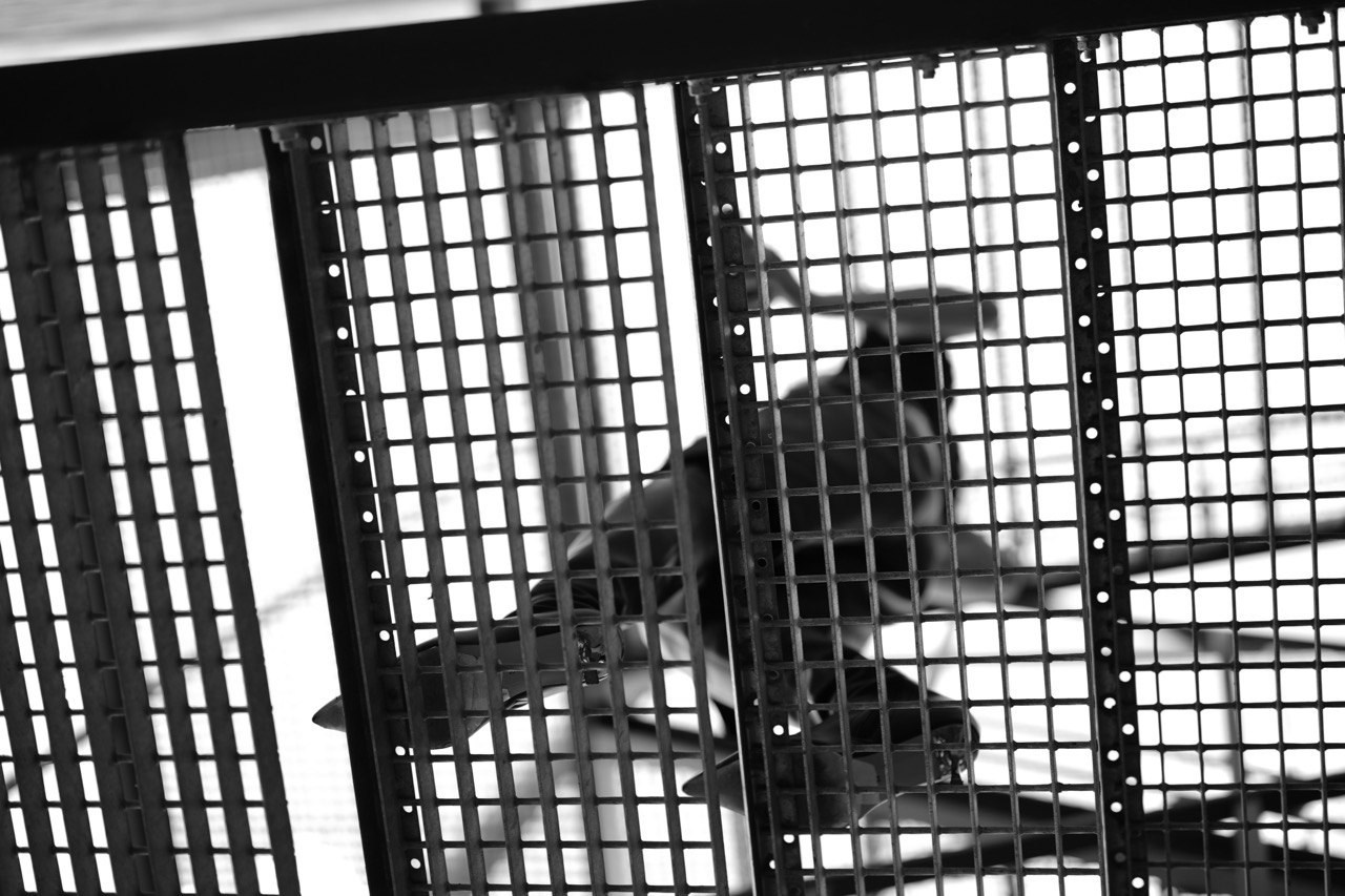 Ритм. Портретный и семейный фотограф в Санкт — Петербурге Коробка Анна