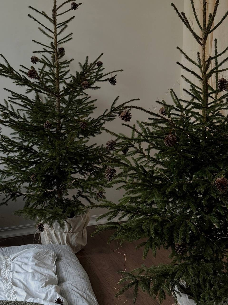 Список фотостудий. Свадебный и портретный фотограф Roxana Imp Тверь Москва