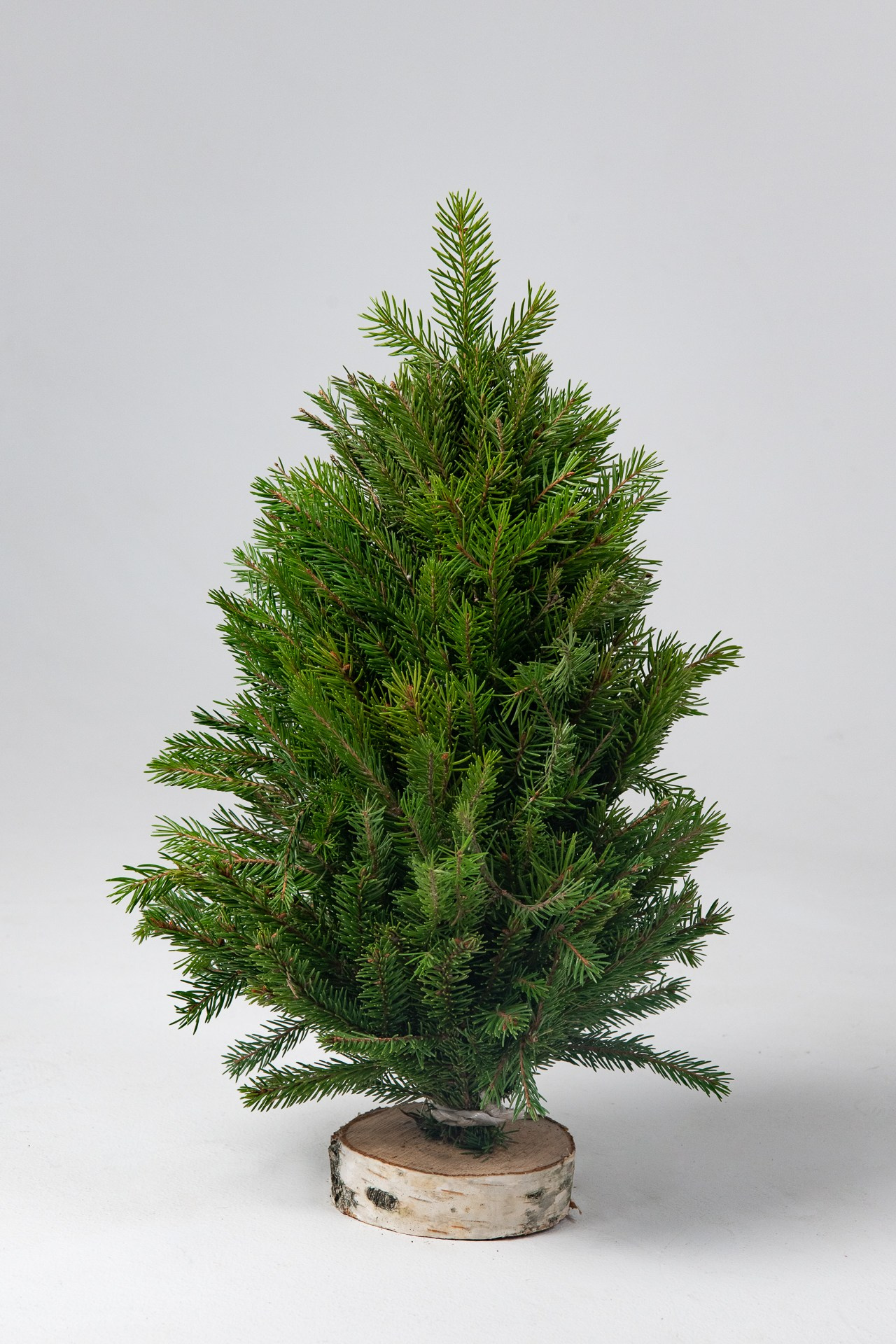 Предметная съемка елок. Фомина Елена Свадебный и семейный фотограф