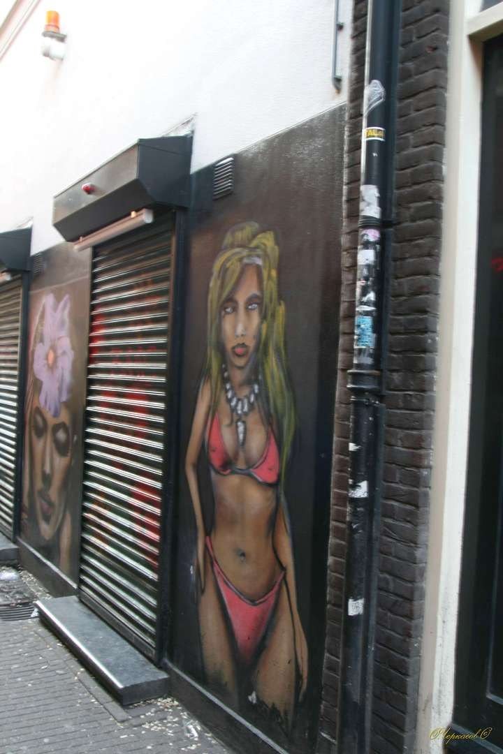 Голландия 2009 г. Улица, люди, жизнь…