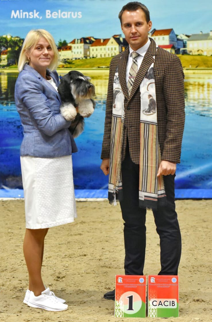 Питомник Делинсо Бэлэнс, щенки цвергшнауцера, купить щенка цвергшнауцера, питомник цвергшнауцеров, кобель цвергшнауцера для вязки, щенок цвергшнауцера, питомник цвергшнауцеров, черный с серебром, цверг, лучший питомник в беларуси