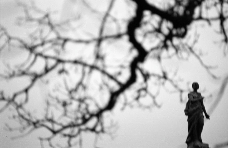 Those. Елена Цихон художник фотографии и мастер фото-ДНК