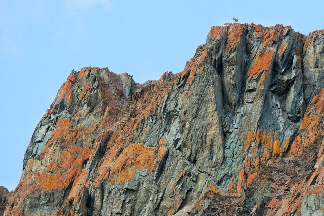 Алтай. Фотограф Евгений Андреев