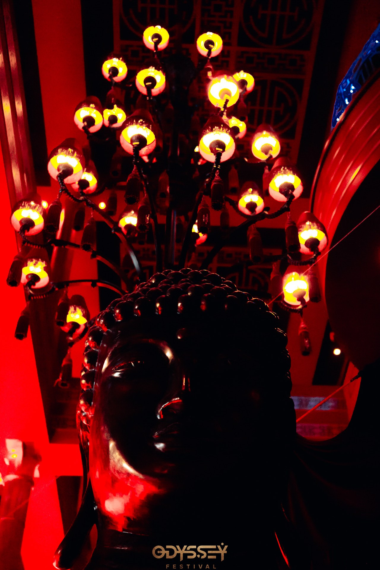 ODYSSEY (OF FLOWERS). Репортажный фотограф Санкт-Петербург