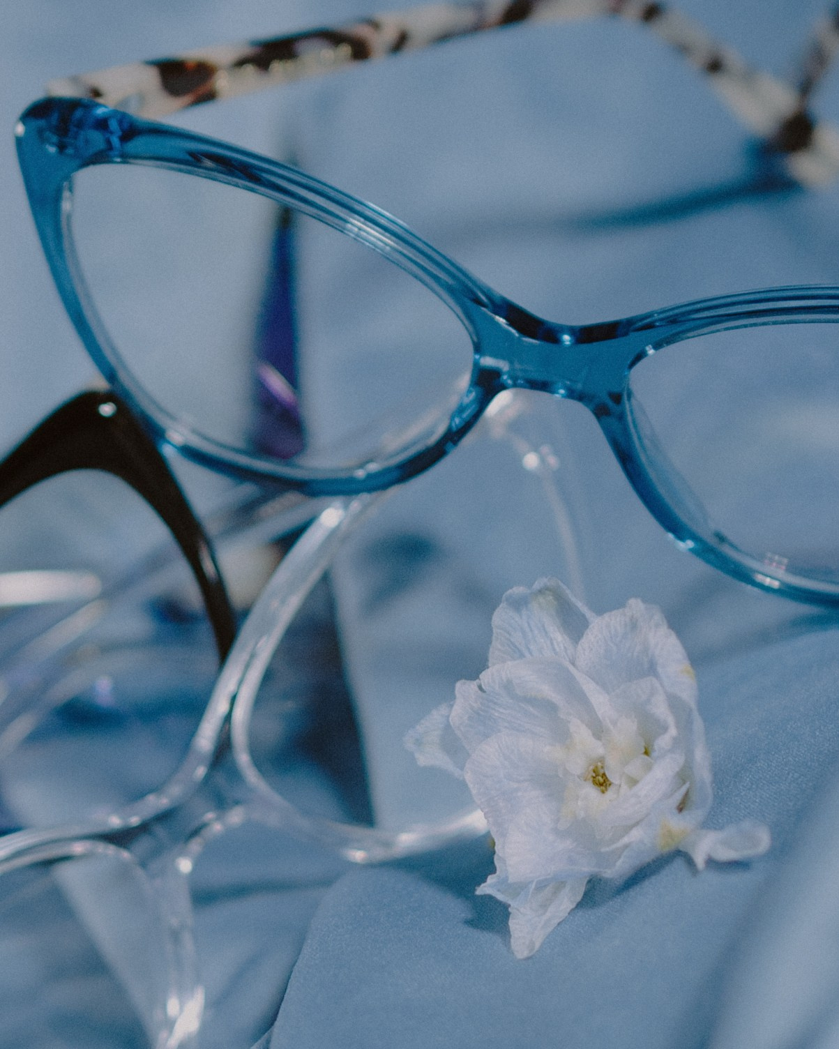 Glasses art. Фотограф для брендов в Санкт-Петербурге — Анастасия Галина