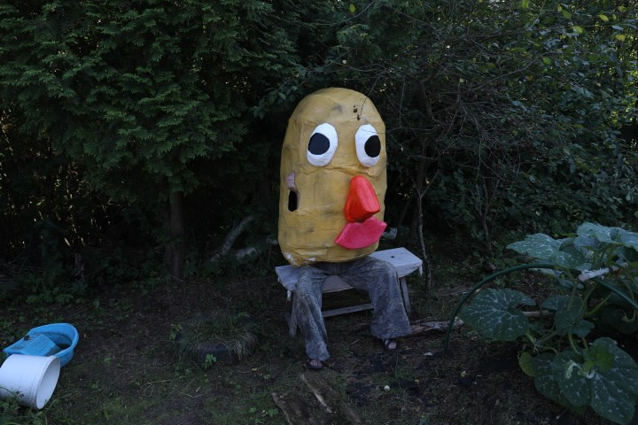 Окартофливание. Портретный фотограф Ванинен Анастасия. Санкт-Петербург