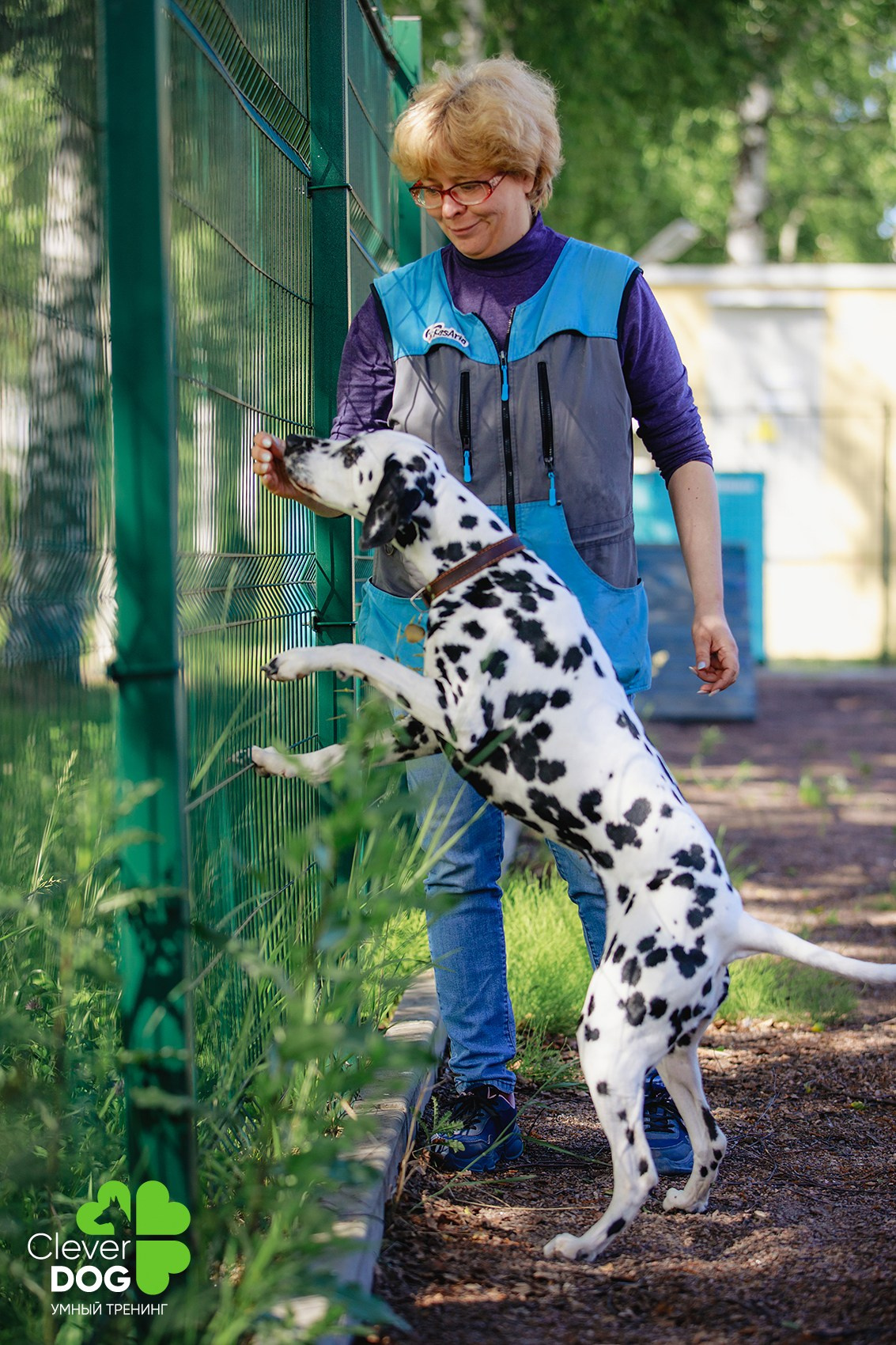 Семинар по поиску запаха с Иваном Ломовым, организатор CleverDog, СПб. Фотограф-анималист Mary Mart — Москва, Питер