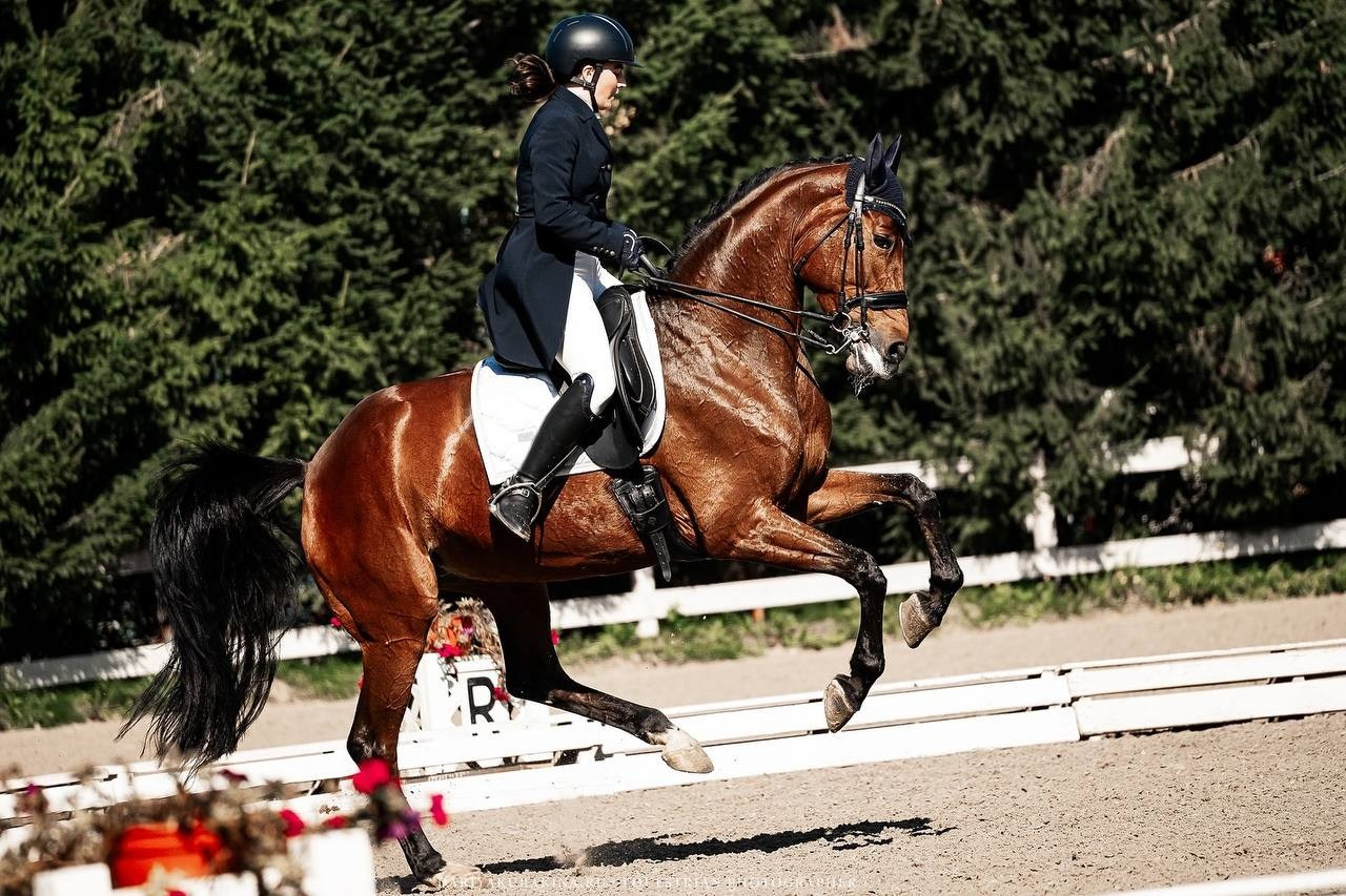 Кубок по ВЫЕЗДКЕ в КСК «РУССКИЙ АЛМАЗ» 8 этап. Куракина Дарья • Конный фотограф