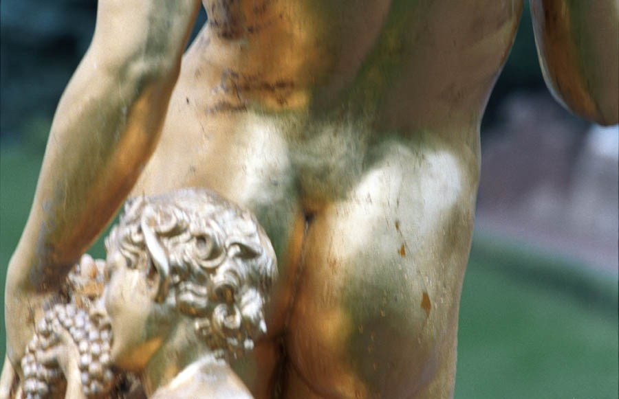 Those. Елена Цихон художник фотографии и мастер фото-ДНК