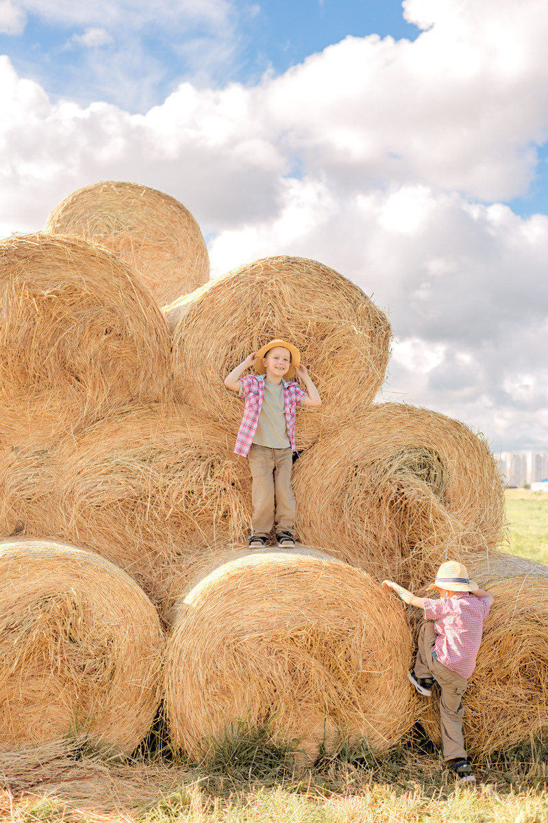 Стога сена. Семейный фотограф Любовь Саркеева