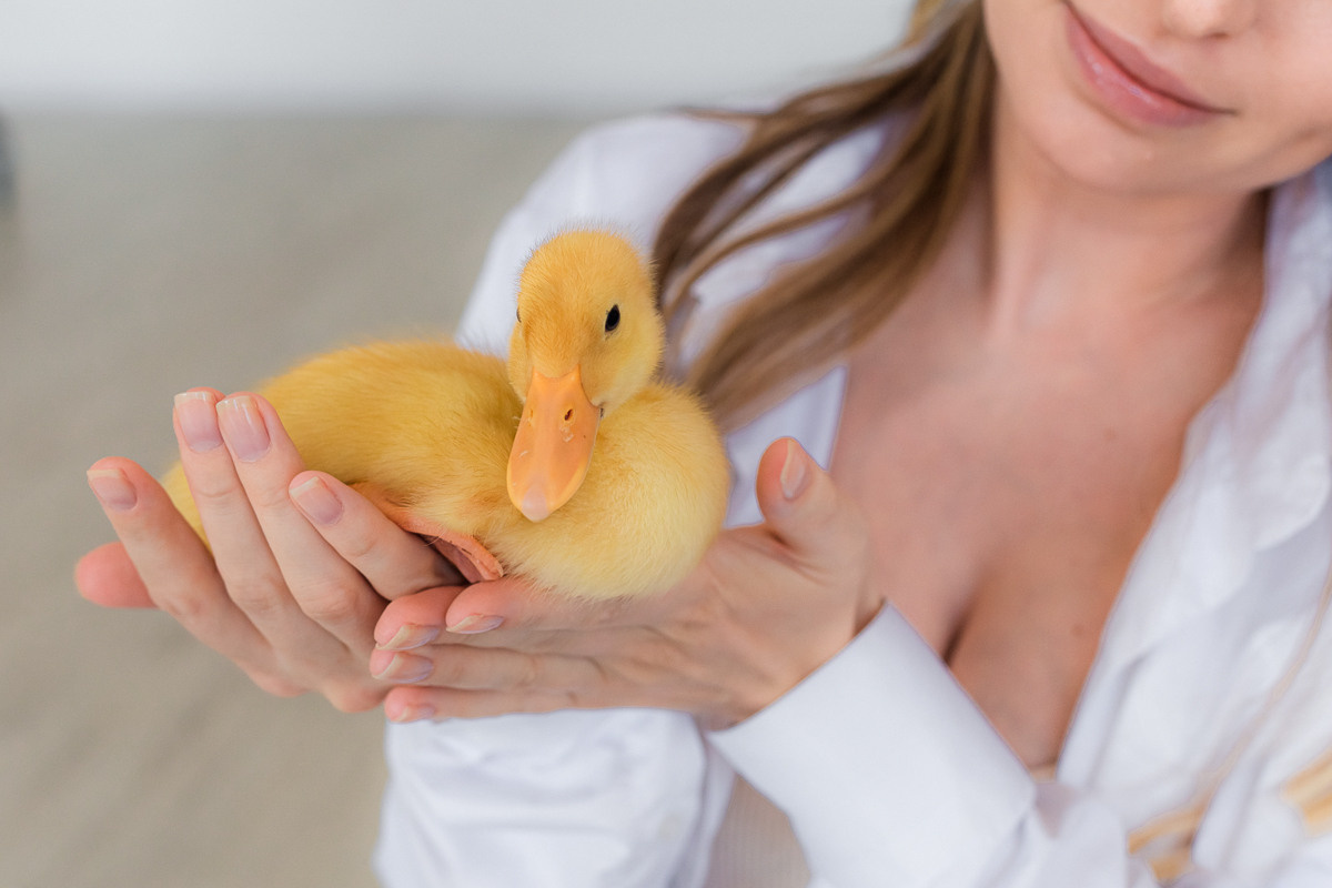 Беременность с утятами. Семейный фотограф Любовь Саркеева
