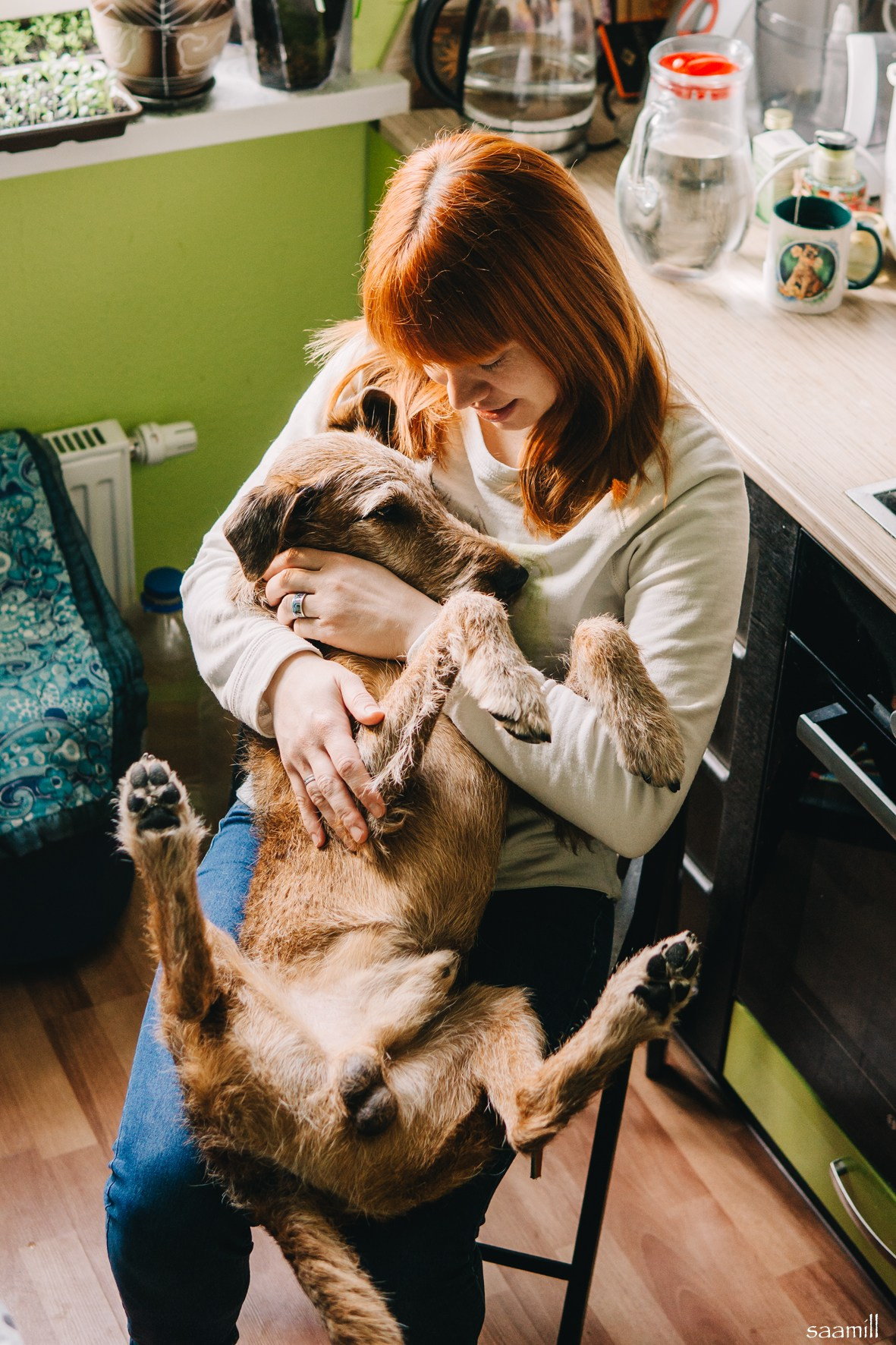 Life with dog. Saamill