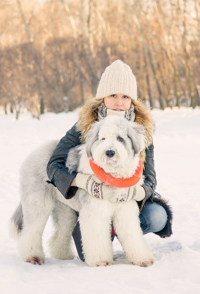 Life with dog. Saamill