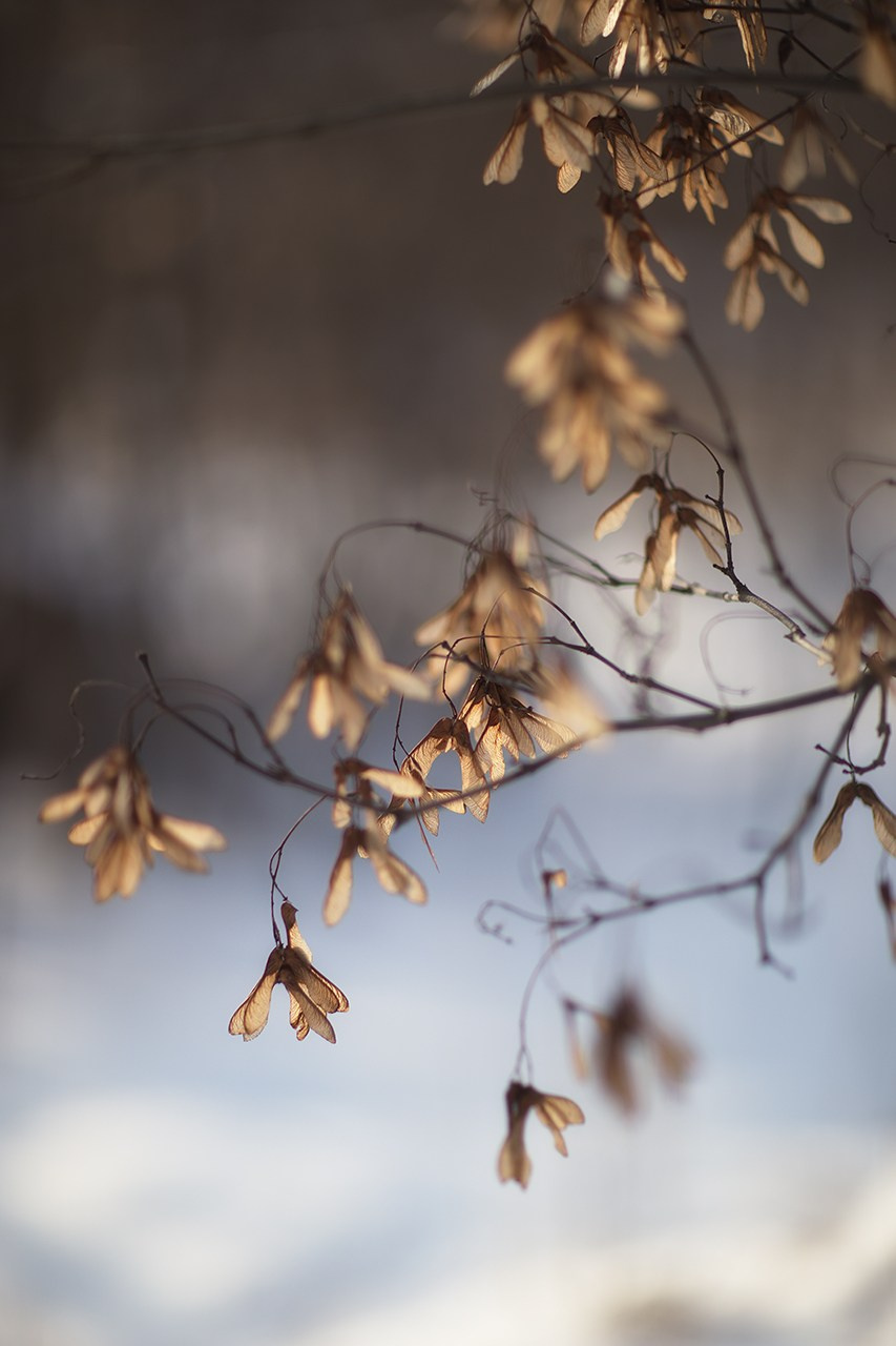 СЕМЬЯ / ДЕТИ. Детский и семейный фотограф в Тамбове Марина Смаль