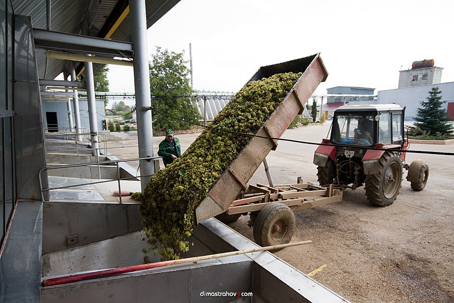 Винзавод Качинский +. Свадебный фотограф, фотосъемка в Крыму, Севастополе, Симферополе, Ялте