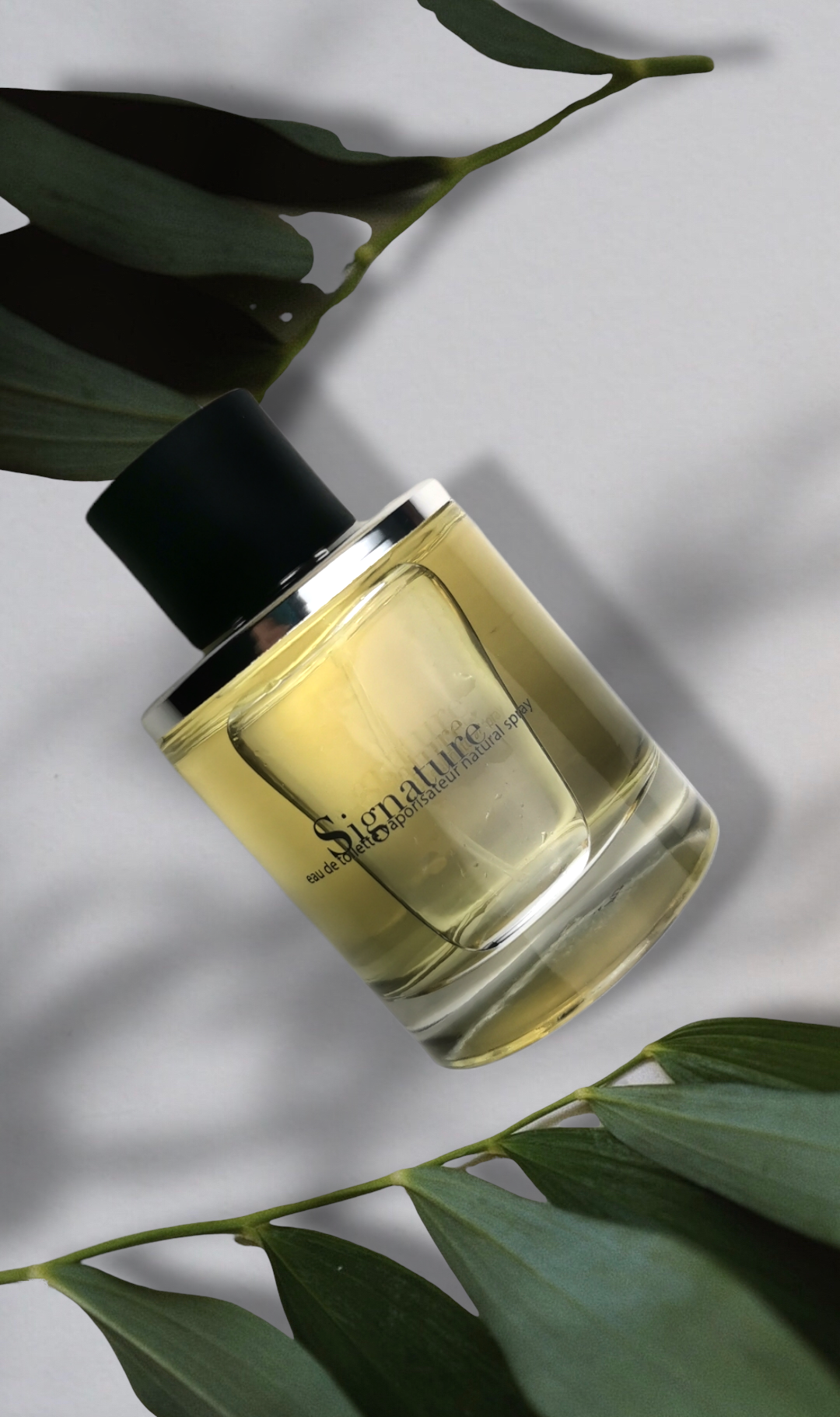 СПб Обтравка фона недорого. Фотограф в СПб. Мария phspbmary