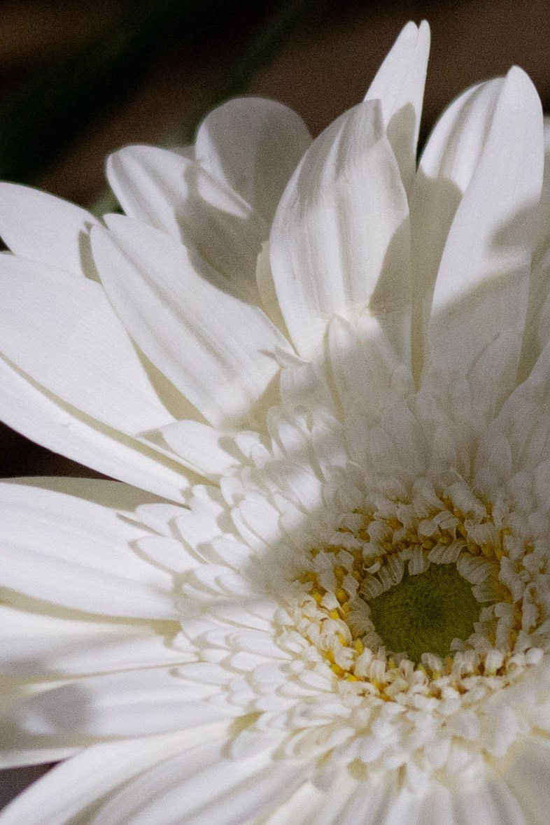 Оформление Отчетного концерта Музыкальной школы Глазунова. Оформление свадеб, декор свадеб Вера Маркова, Москва