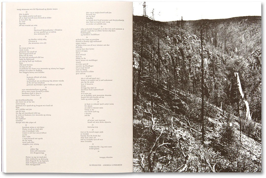 ИНТЕРВЬЮ С АВТОРАМИ: Maja Daniels. Самоорганизация Низина