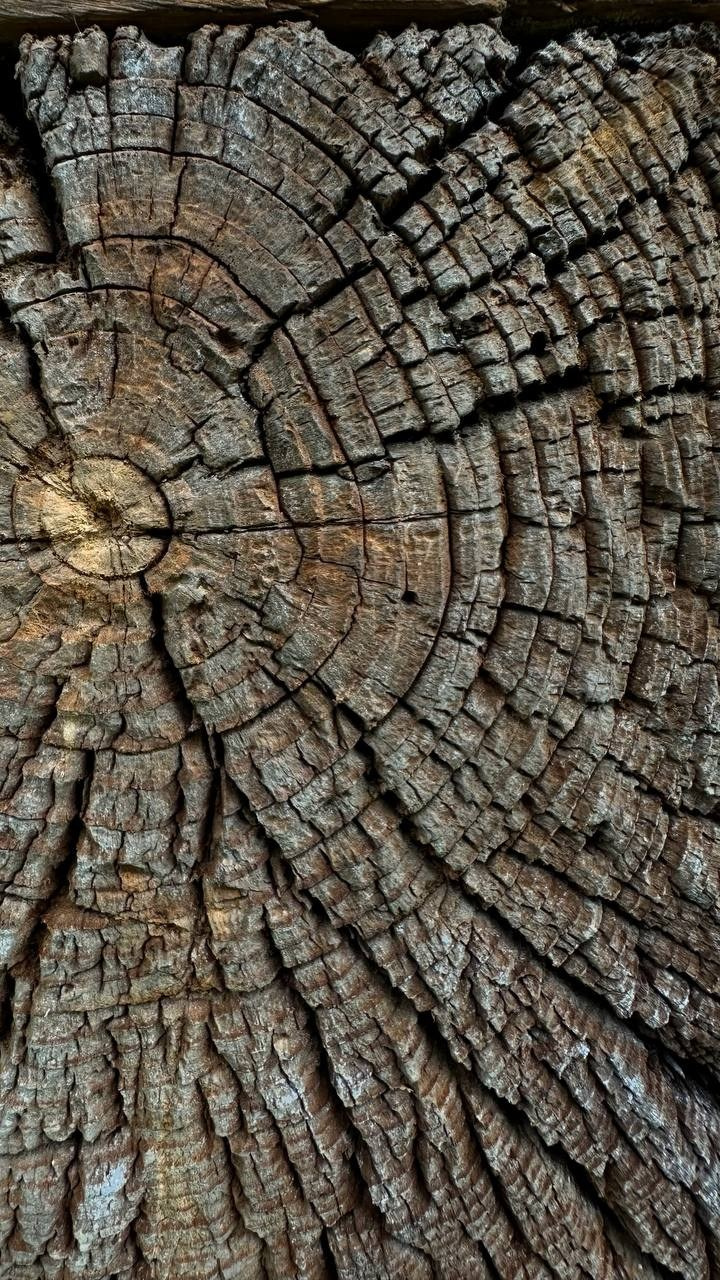 КУРС ПО ФОТО/ВИДЕО СЪЕМКЕ «СЧАСТЬЕ В ПРОСТОМ». Фотография. Визуально-чувственный мир души